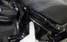 HARLEY FXLRS1870 2020