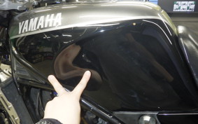 YAMAHA RZ250R 2013 29L