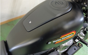 HARLEY RH975S NIGHT STAR 2024 ZF1