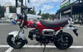 HONDA  DUX 125 JB04