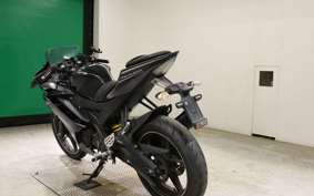 YAMAHA YZF-R15 2019