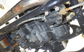 OTHER +UNREGISTERED MODEL by BDS250