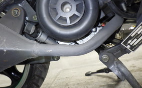 OTHER +UNREGISTERED MODEL by BDS125 1989