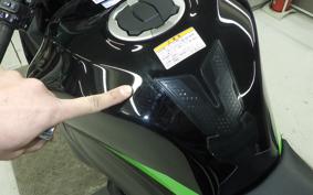 KAWASAKI NINJA ZX-6R A 2025 ZX636J