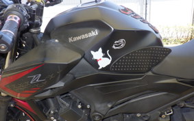 KAWASAKI Z250 Gen.2 2004 EX250P