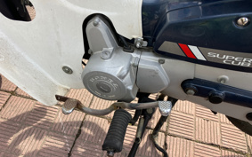 HONDA SUPER CUB50 C50