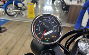 HARLEY X500 2024 W5B
