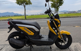 HONDA ZOOMER-X JF52