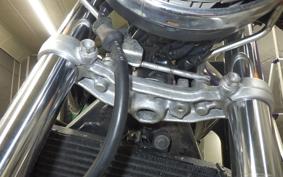 HONDA HORNET 250 2013 MC31