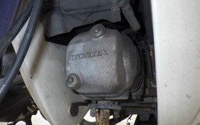 HONDA C110 SUPER CUB