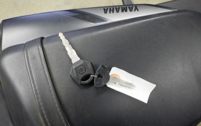 YAMAHA MT-25 A 1999 RG43J