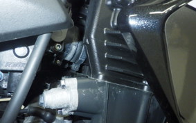 KAWASAKI Z250 A 2021 ER250C