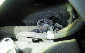 SUZUKI ADDRESS V125 2023 DT11A