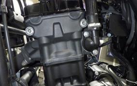 HONDA REBEL 250 S MC49