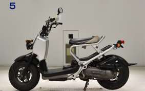 HONDA ZOOMER AF58