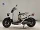 Фото Honda ZOOMER 2009 с японского аукциона