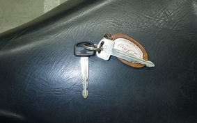 HONDA C110 SUPER CUB 2015 JA07