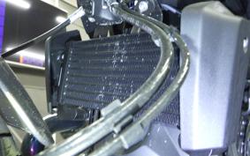 BMW R12 2025