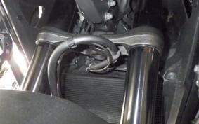 HONDA NX400 2025 NC65