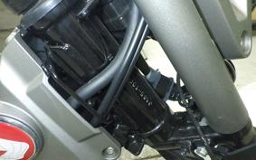 HONDA CT125-2 2025 JA65