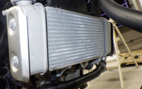 YAMAHA XSR155 1995