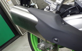 KAWASAKI ZX-4RR 2024 ZX400P