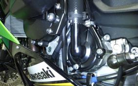 KAWASAKI NINJA ZX-6R A 2025 ZX636J
