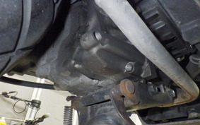 HONDA ZOOMER 2024 AF58
