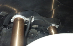 SUZUKI HAYABUSA Gen.2 2009