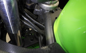 KAWASAKI NINJA 250 2 2020 EX250P
