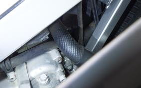 SUZUKI RGV250 Gamma 2025 VJ21A