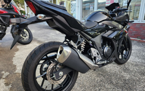 SUZUKI GSX250 R DN11A