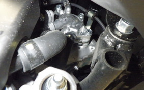 HONDA ﾀﾞﾝｸ 2008 AF78