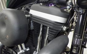 HARLEY XL883N 2010