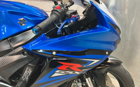 SUZUKI GSX-R600 2014 C3111