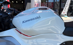 KAWASAKI NINJA ZX-6R 2025 ZX636J