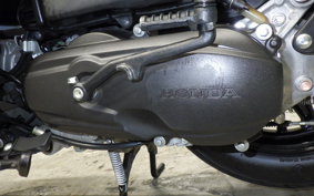 HONDA TACT Basket 2016 AF79