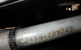 SUZUKI SKYWAVE 250S-1