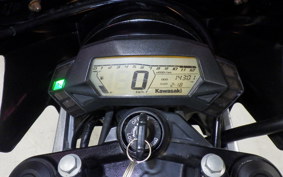 KAWASAKI Z250 SL BR250E