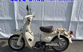 OTHER  LITTLE CUB -FI