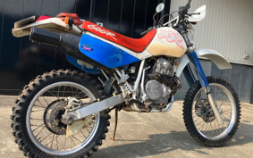HONDA XR600R 1993 PE04