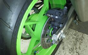 KAWASAKI ZX-4RR 2024 ZX400P