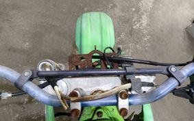 KAWASAKI KDX250SR DX250F