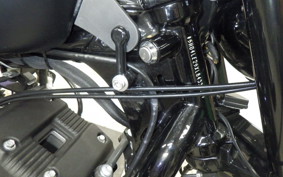 HARLEY XL883N 2020