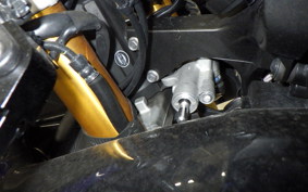 YAMAHA YZF-R1 2009 RN24J