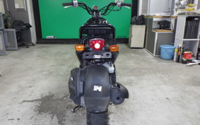 HONDA ZOOMER 2014 AF58