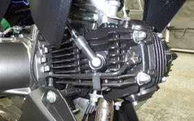 KAWASAKI Z125 PRO 2005 BR125H
