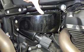 HARLEY FXFB1750 2019