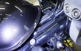 TRIUMPH SPEED TWIN 2024
