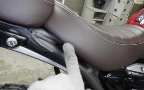 TRIUMPH SCRAMBLER400X 2025